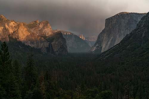 mountain green leaf trees with rocky mountain background under gray sky outdoors